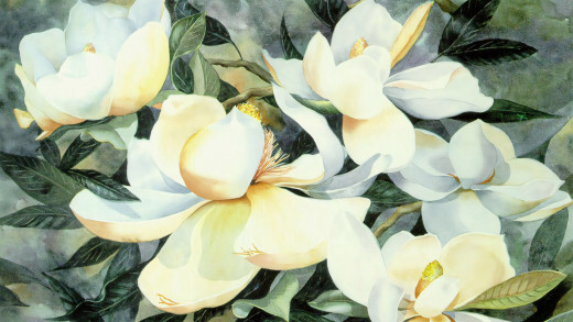 1755002 (a): :2048x1152